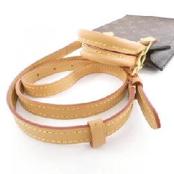 Túi xách Louis Vuitton Monogram Petit Sac Plat M81295 618164