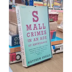 Small crimes in an ages of abundance - Matthew Kneale 675270