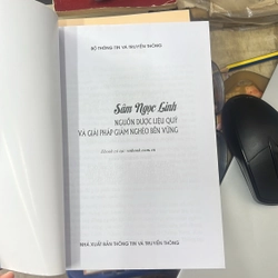 Sâm ngọc linh- nguồn dược liệu quý và giải pháp giảm nghèo bền vững 553049