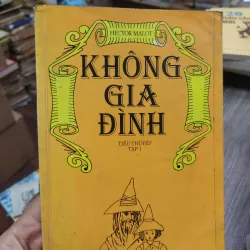 Sách: Không gia đình (Trọn bộ 2 tập) (B1) Tác giả: Hector Malot 696659