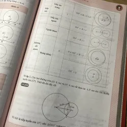 Sách chinh phục 8+ luyện thi môn toán vào 10 theo chủ đề  999882