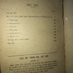 Lịch sử trung đại thế giới - quyển 2- Lương Ninh 1035829
