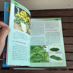 II Cây Cảnh: Kỹ Thuật Giâm Và Chiết Cành _ Mai Vàng 12 Cánh - Nguyễn Văn Hai - 2008 718580