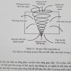 Cuốn sách đầy đủ về Chữa Lành Luân Xa (Cyndi Dale) 494259