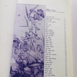 NGÔN NGỮ CỦA LOÀI HOA 509616