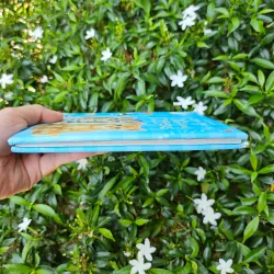 Cats and Kittens 995238