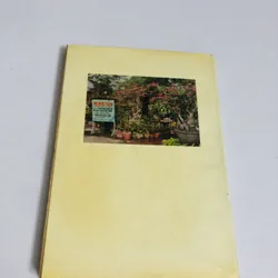 BONSAI - 172 trang, nxb: 1993  703011