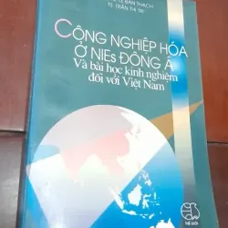 CÔNG NGHIỆP HÓA Ở NIEs ĐÔNG Á và bài học kinh nghiệm đối với Việt Nam 705158