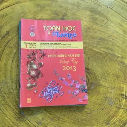 COMBO BÁO TOÁN HỌC & TUỔI TRẺ NĂM 2013 full 12 số 