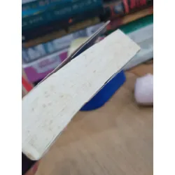 Nàng công chúa lưu lạc - Johanna Lindsey