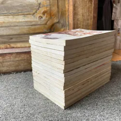 Truyện Thủy Hử - Trọn bộ 16 Tập - Lý Chí Thanh - NXB Trẻ 564672