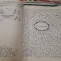 Truyện cổ dân gian Nga tiếng Anh in màu- THE FIRE BIRD và những chuyện khác 762541