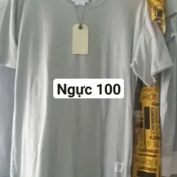 Áo thun xám V1 trên 100 971376