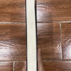 Bố già Mario Puzo  (6) 704002