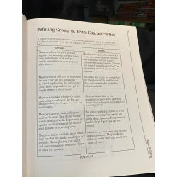Team Building 4th Edition : An Exercise in Leadership - Maddux & Wingfield 448991