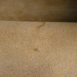 Loewe Gate Top Handle Mini 321 12 Z99 Bag - Hàng hiệu Authentic 805174