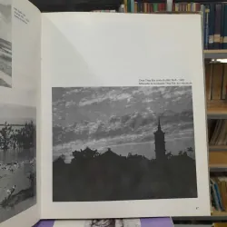 ẢNH VÕ ANH NINH 696584