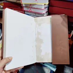 Hoạt động phận sự của giáo hội phật giáo VN tỉnh hoà bình 673723