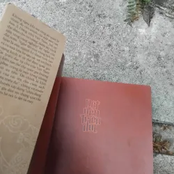 Dêt nên triều đại ( trang phục Việt thời Lê sơ ) 1022868