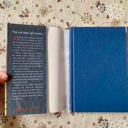 Sách ngoại văn A Pup Called Trouble, Used, Bìa cứng, Fiction For Young Adult 446629