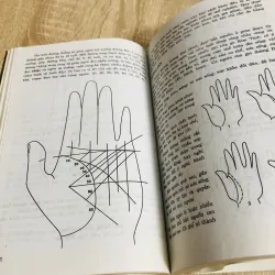 TIẾNG NÓI CỦA BÀN TAY – SÁCH NGHIÊN CỨU 925817