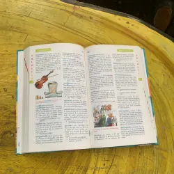 DICTIONNAIRE LE ROBERT  BENJAMIN CP-CE 6.8 ans & JUNIOR 8/11 ans  CE-CM ILLUSSTRE 747358