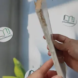 [XƯA] Bưởi - Sách Phật Giáo (1986) - Thích Nhất Hạnh       775988