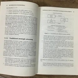 Information Engineering: Strategic Systems Development - Clive Finkelstein 750128
