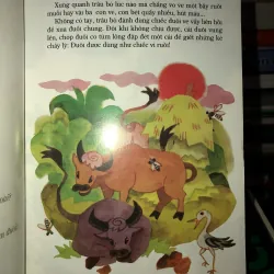 Cái đuôi không chỉ đuổi ruồi 784564