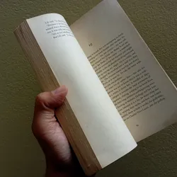 Foreign bodies, sách ngoại văn tiếng Anh english book  735985