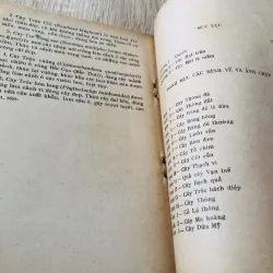 HỎI ĐÁP VỀ THỰC VẬT – trọn bộ 5 tập 🌿 956957