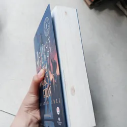 Hai số phận 🌱 575305