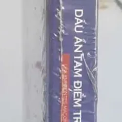 Dấu Ấn Tam Điểm Trong Văn Hóa Nghệ Thuật - Trần Thu Dung 697379