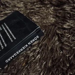 Nhật ký kẻ mị tình 762171