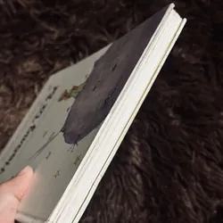 Hoàng tử bé (bìa cứng) 738109