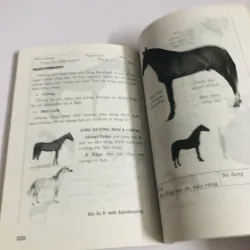 NGHỆ THUẬT CHĂM SÓC NGỰA  760018