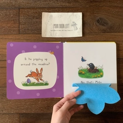 Sách ngoại văn Can You Find The Easter Bunny? – Sách lật mở miếng vải, Used, Board Book 540727