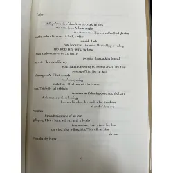 Night sky with exit wounds - Ocean Vương 674473