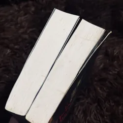 Combo kẻ dọn rác + kẻ nhìn trộm 975302