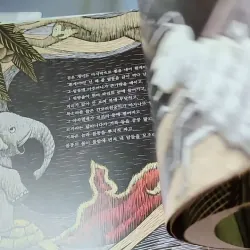 [Tặng nẹp góc] Truyện thiếu nhi Hàn Quốc: Moyamo Anu 59 -  모야모 아누와: 검은 개미와 흰개미는 왜 사이가 나쁠까 732066