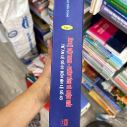 Án lệ Việt Nam - phân tích và luận giải 301749