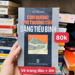 CON ĐƯỜNG PHI THƯỜNG CỦA ĐẶNG TIỂU BÌNH