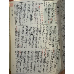 Sách tiếng Nhật 243 449851