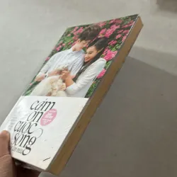 Cảm ơn cuộc sống 1 lần nữa - hoa học trò 748085