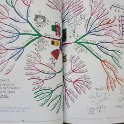 SƠ ĐỒ TƯ DUY - LÊ HUY LÂM 791822