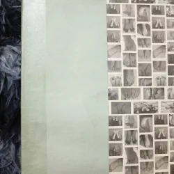 Nhã Nam tạp lục (bản đặc biệt) 926282