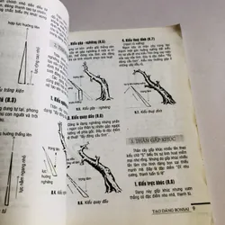 TẠO DÁNG BON SAI 719432