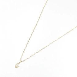 Dây chuyền Tiffany By The Yard - Hàng hiệu Authentic 842163