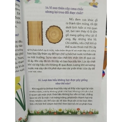 Sổ Tay Khăn Quàng Đỏ 549652