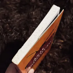 Axit Sunfuric 745621